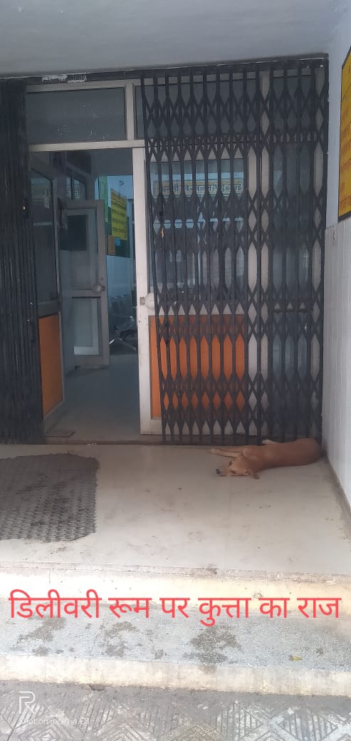 गुरसरांय अस्पताल में घोर अनियमितताएं डिलीवरी रूम कुत्तों के हवाले,विभागीय अधिकारी बेपरवाह